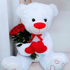 https://www.kahramanmarascicekcim.com/