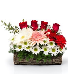 https://www.kahramanmarascicekcim.com/
