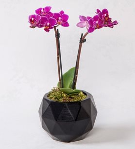 https://www.kahramanmarascicekcim.com/