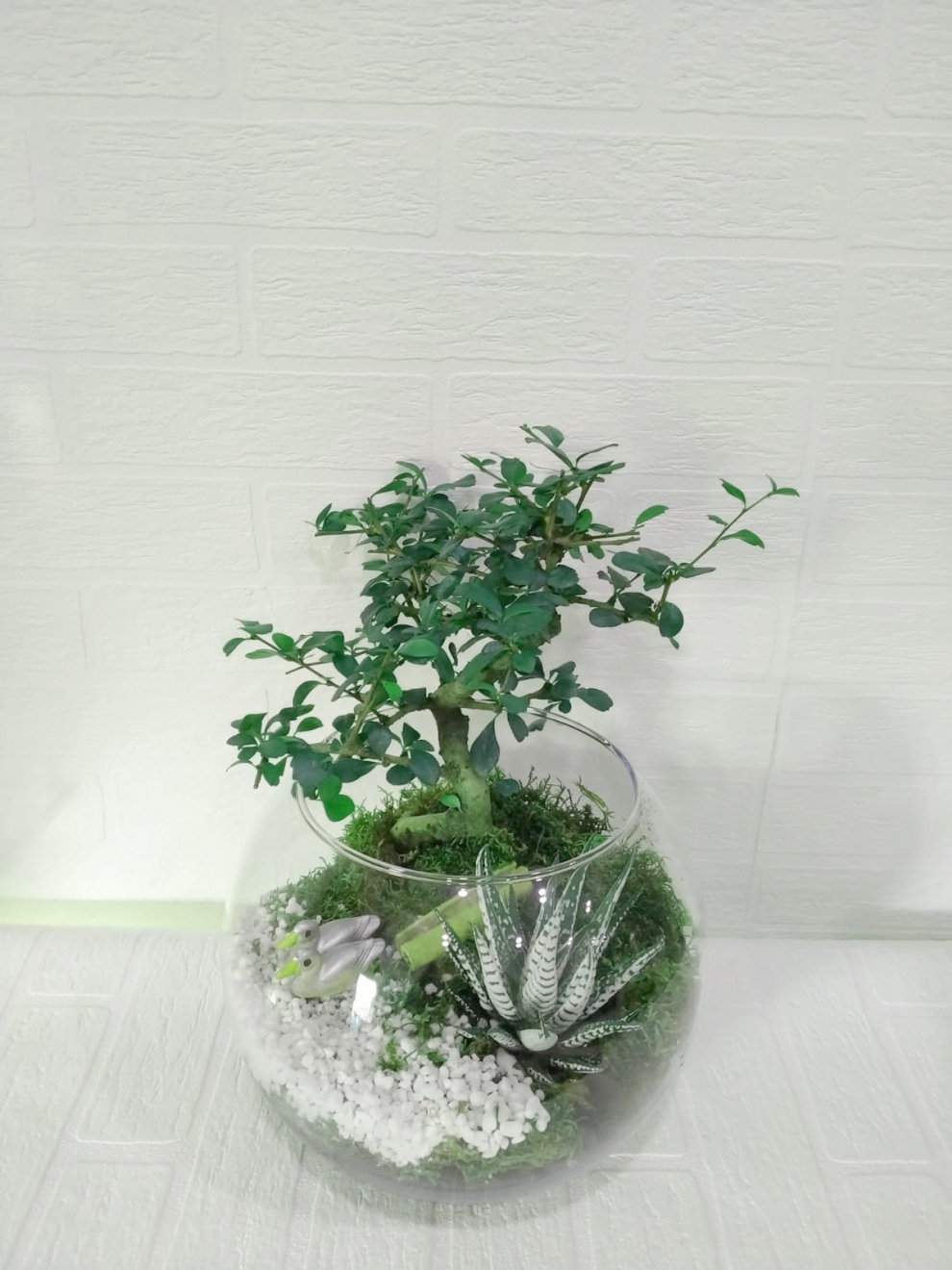 https://www.kahramanmarascicekcim.com/