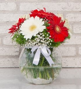 https://www.kahramanmarascicekcim.com/