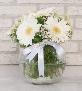 https://www.kahramanmarascicekcim.com/
