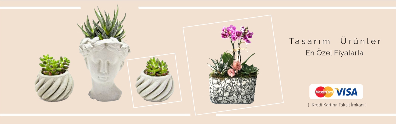 https://www.kahramanmarascicekcim.com/