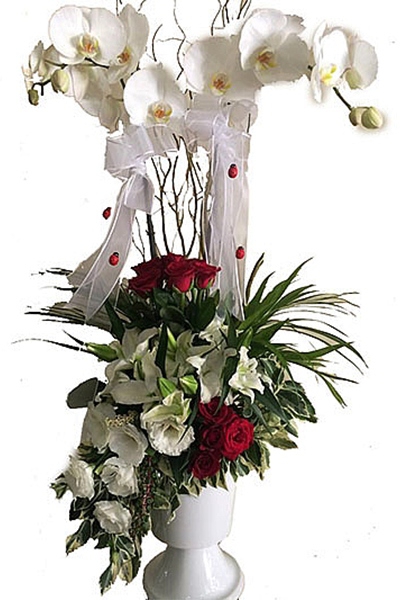 https://www.kahramanmarascicekcim.com/
