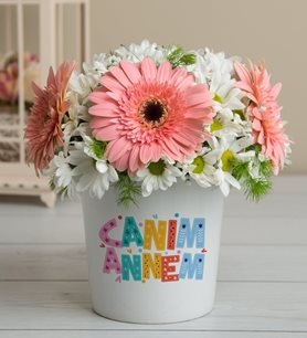 https://www.kahramanmarascicekcim.com/