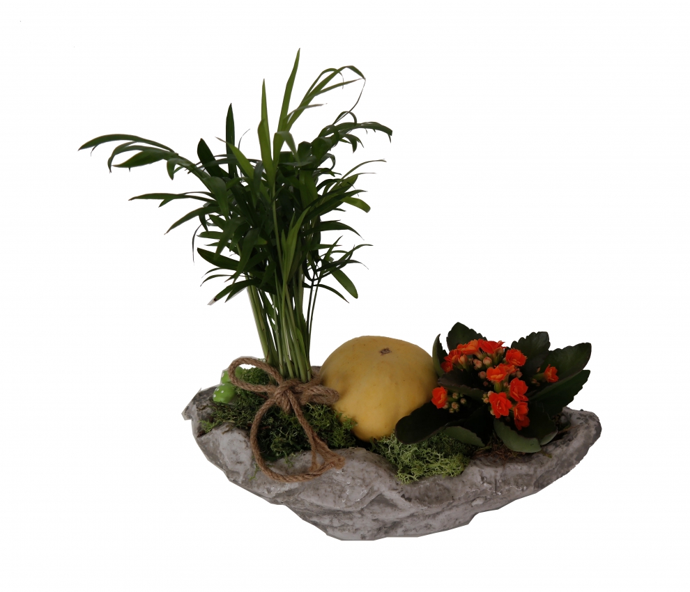 https://www.kahramanmarascicekcim.com/
