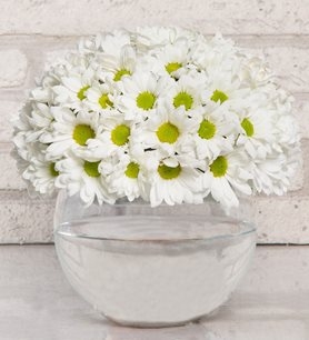 https://www.kahramanmarascicekcim.com/