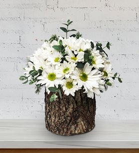 https://www.kahramanmarascicekcim.com/