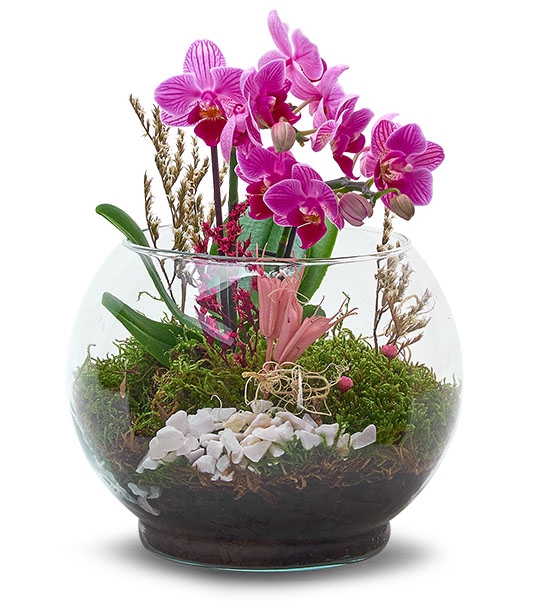 https://www.kahramanmarascicekcim.com/