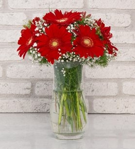https://www.kahramanmarascicekcim.com/