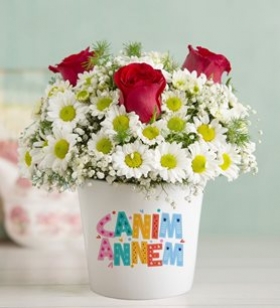 Canım Annem Papatyalar