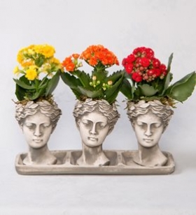 Trio helen Eskitme