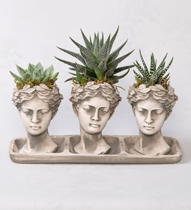 https://www.kahramanmarascicekcim.com/