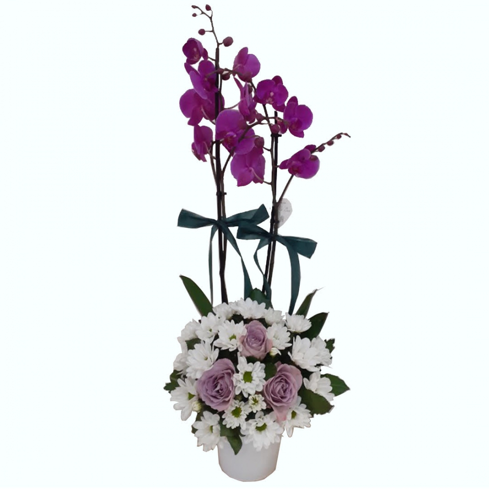 https://www.kahramanmarascicekcim.com/
